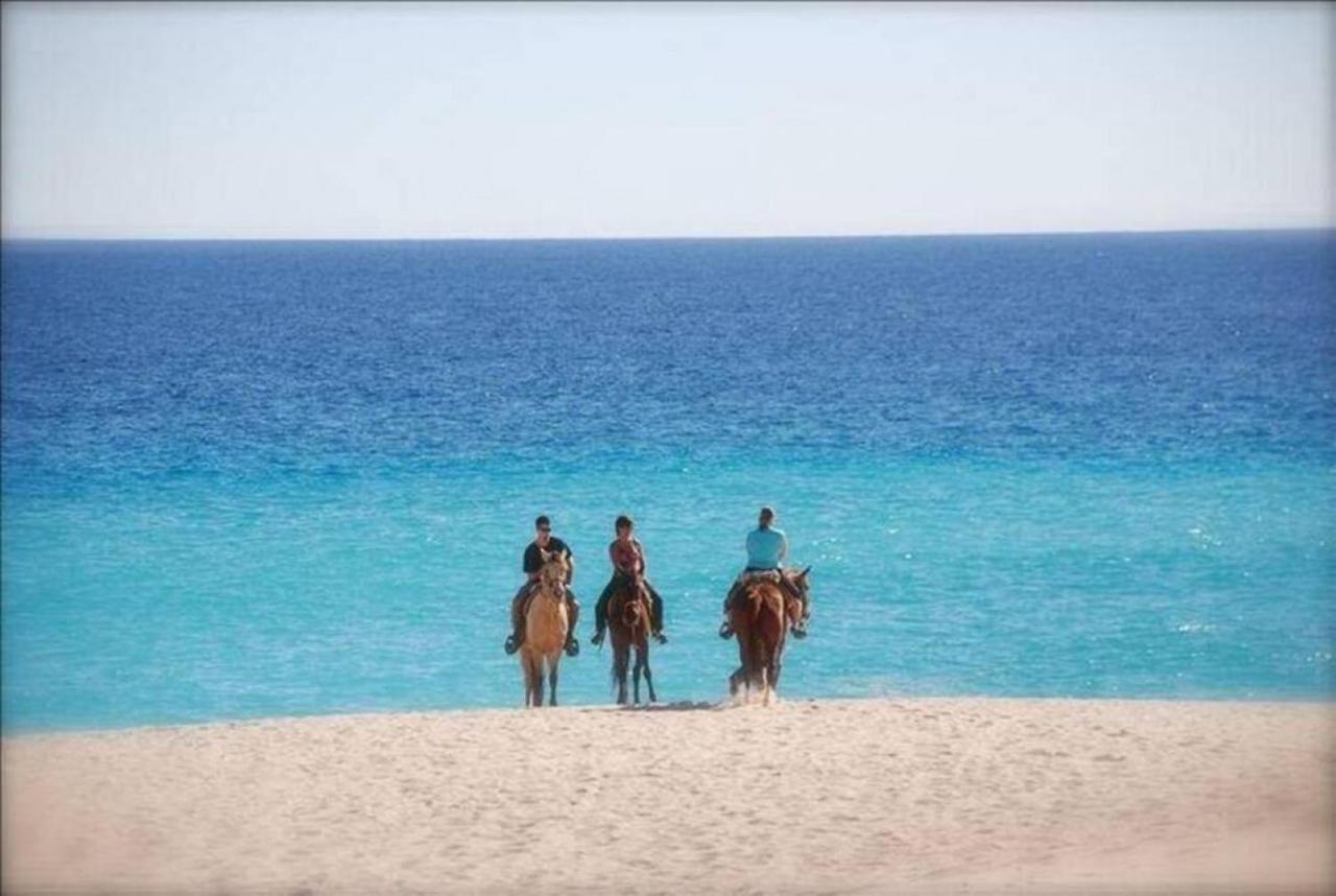 Beachfront 3 Bed Beautiful Condo At Casa Del Mar San Jose del Cabo Luaran gambar